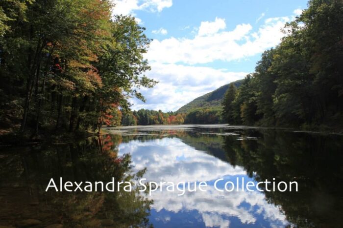 Cranberry Pond in Fall Sunderland, MA