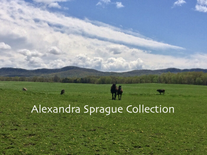 Horses and Cows with the Holyoke Mountain Range